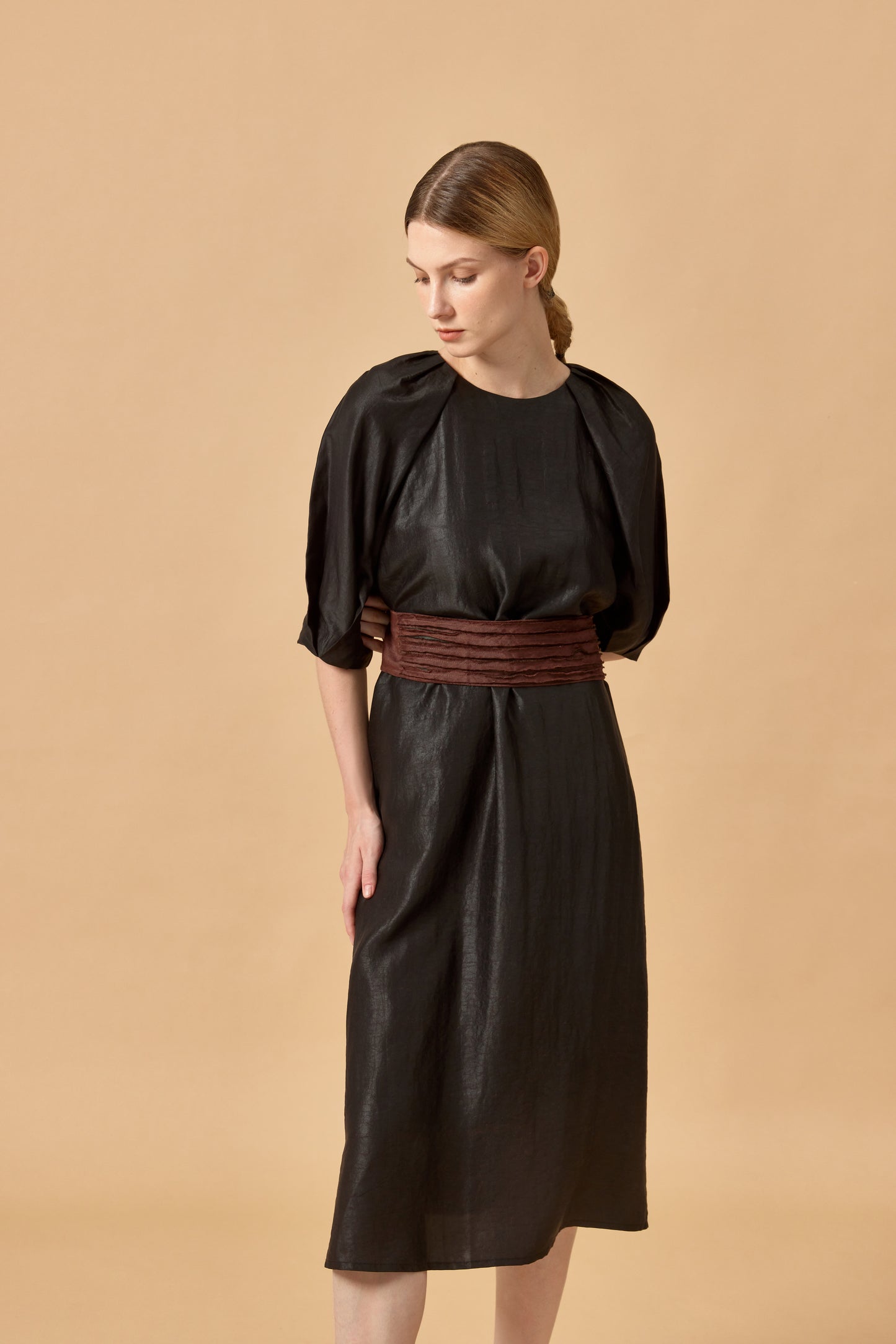 Long Round Collar Tea Silk Dress